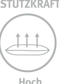 Paradies Kopfkissen>Kopfkissen Malea fest Bio 80x80 Weiß