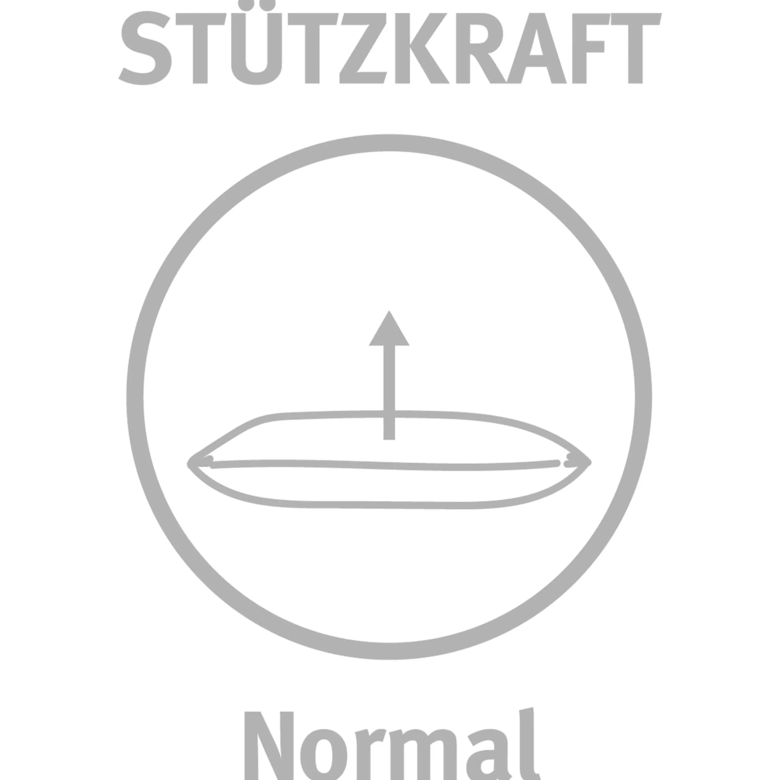 Paradies Kopfkissen>Kopfkissen Malea medium Bio 80x80 Weiß