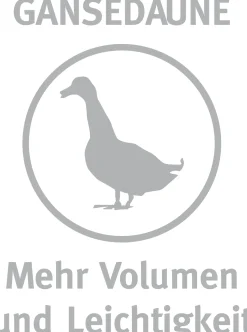 Paradies Kopfkissen><noscript><img width=