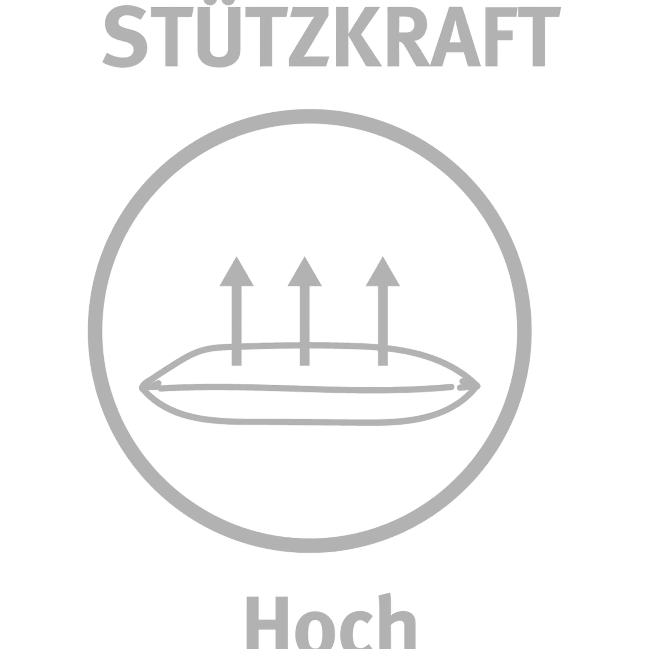 Paradies Kopfkissen>Kopfkissen Mali fest Bio 80x80 Weiß