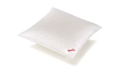 Paradies Kopfkissen>Kopfkissen Mali medium Bio 80x80 Weiß