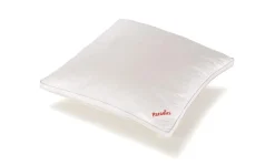 Paradies Kopfkissen>Kopfkissen Softy fest Bio 80x80 Weiß