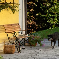 Weishäupl Gartenbänke>Gartenbank Classic 2-Sitzer 113x59x84 cm Dunkelgrün